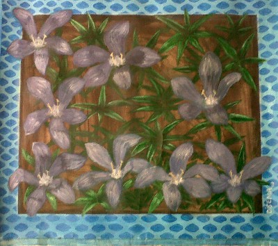 Maluti Flora