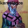 giorgitaborelikarseladze